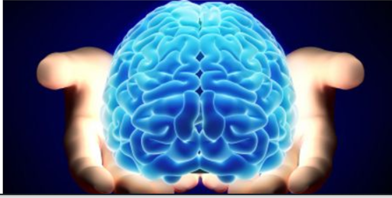 Velkommen til vores hjemmeside